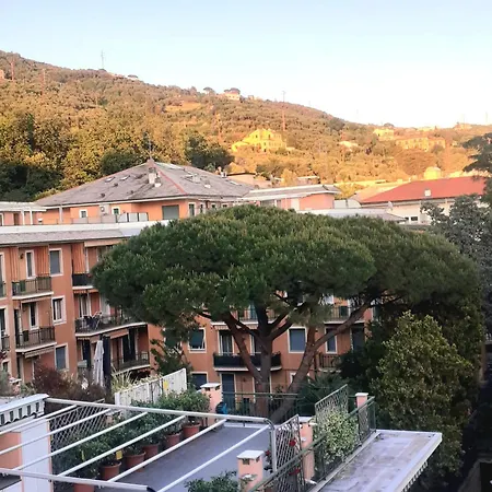 The Skipper * Lavagna