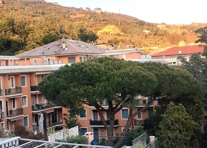 The Skipper * Lavagna